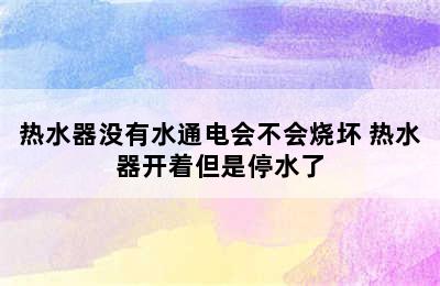 热水器没有水通电会不会烧坏 热水器开着但是停水了